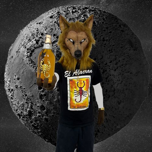 prod_track-files_539464_extra_pictures_PoochTooth_1