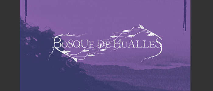 Bosque de Hualles 3