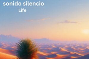 Sonido-silencio