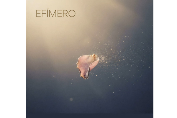 silver efimero