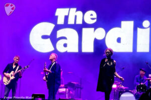 THE CARDIGANS 4