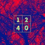 1240: improvisación fraterna y psicodelia indie desde Chile