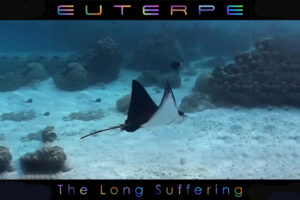 euterpe